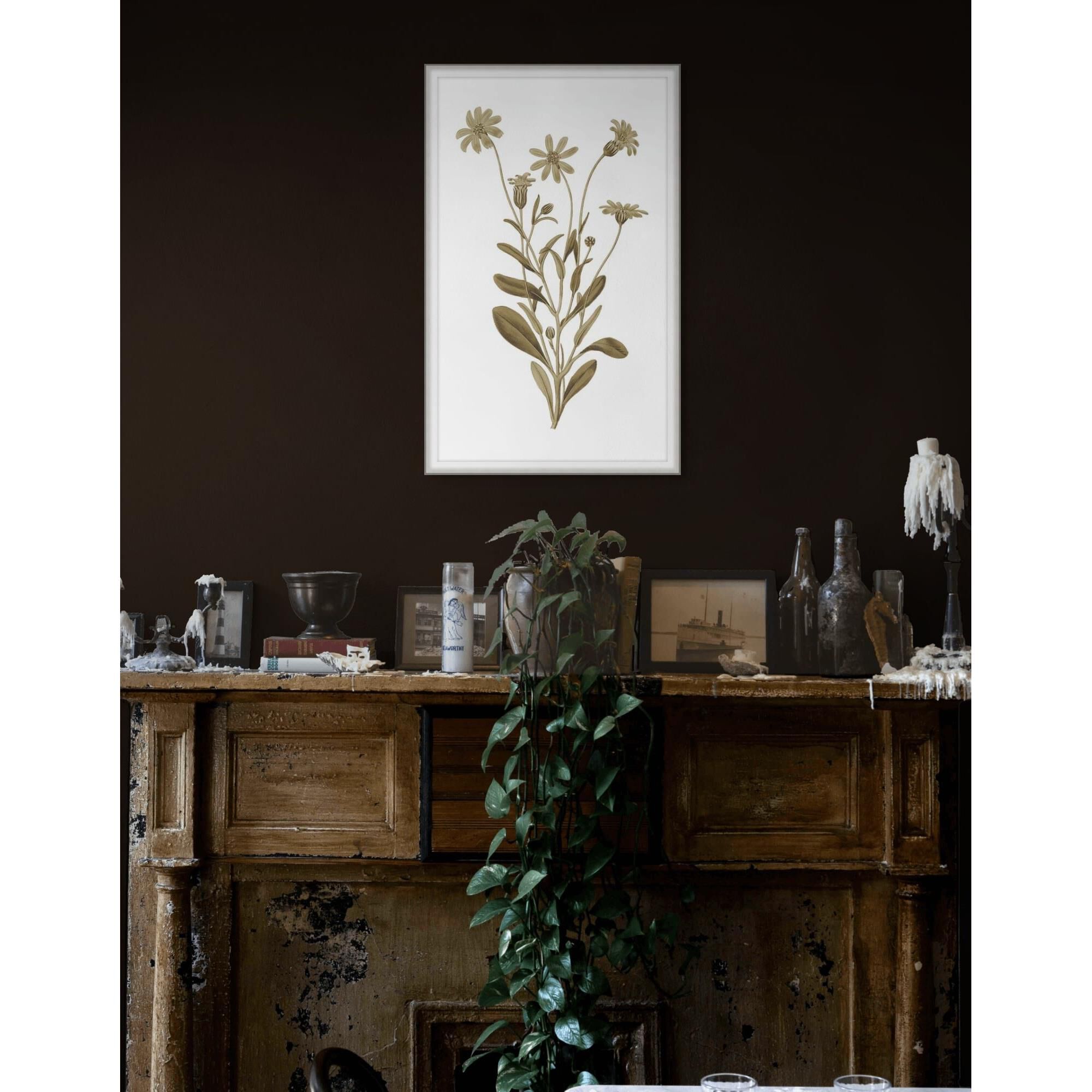 Sweet Preservation Print